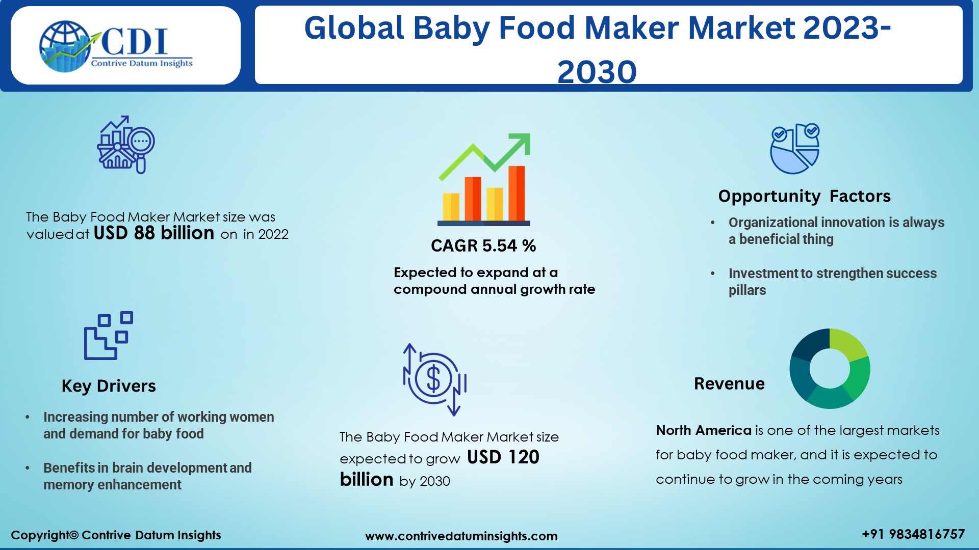 Baby Food Maker Market image 